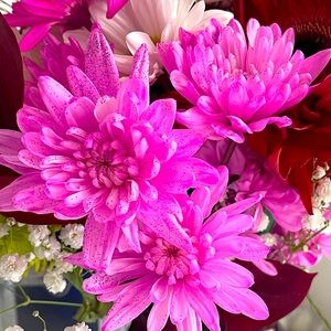 Meet your Posher, Diana